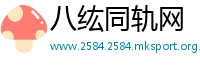 八纮同轨网